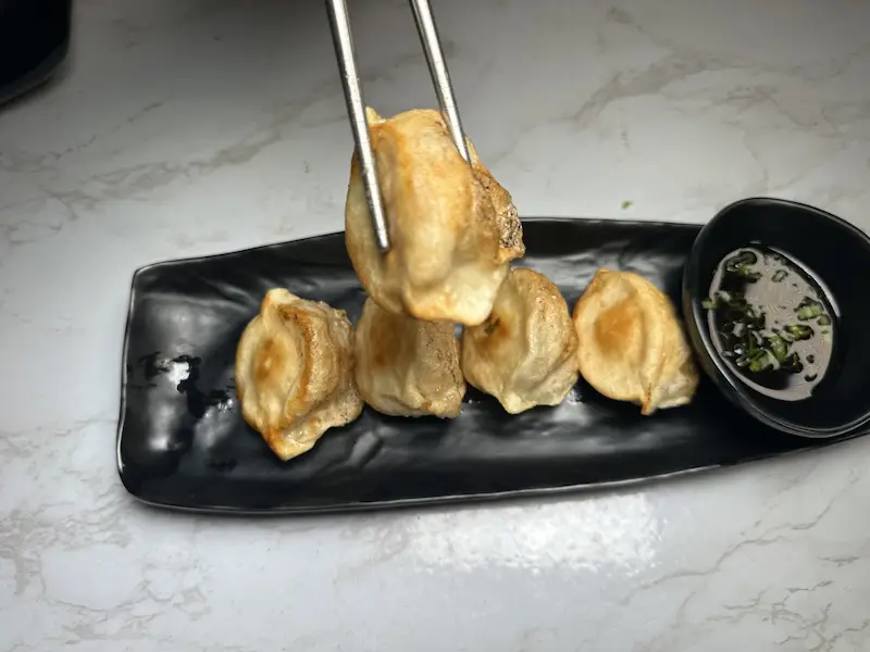 Potsticker